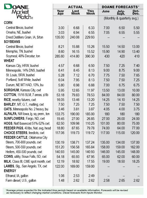 MarketWatch Cash corn, soybean prices continue to retreat Pro Farmer